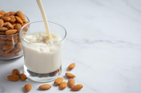 Plant-Based Milk Makers: 7 Best Options in Canada Plant-Based Milk Makers: 7 Best Options in Canada