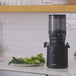 H320 Slow Juicer