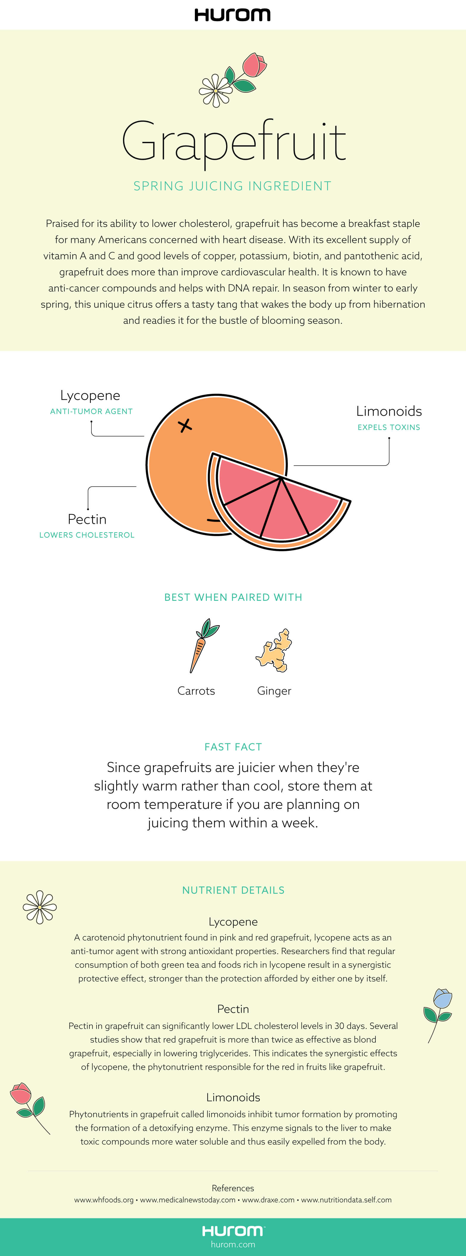 Grapefruit Infographic