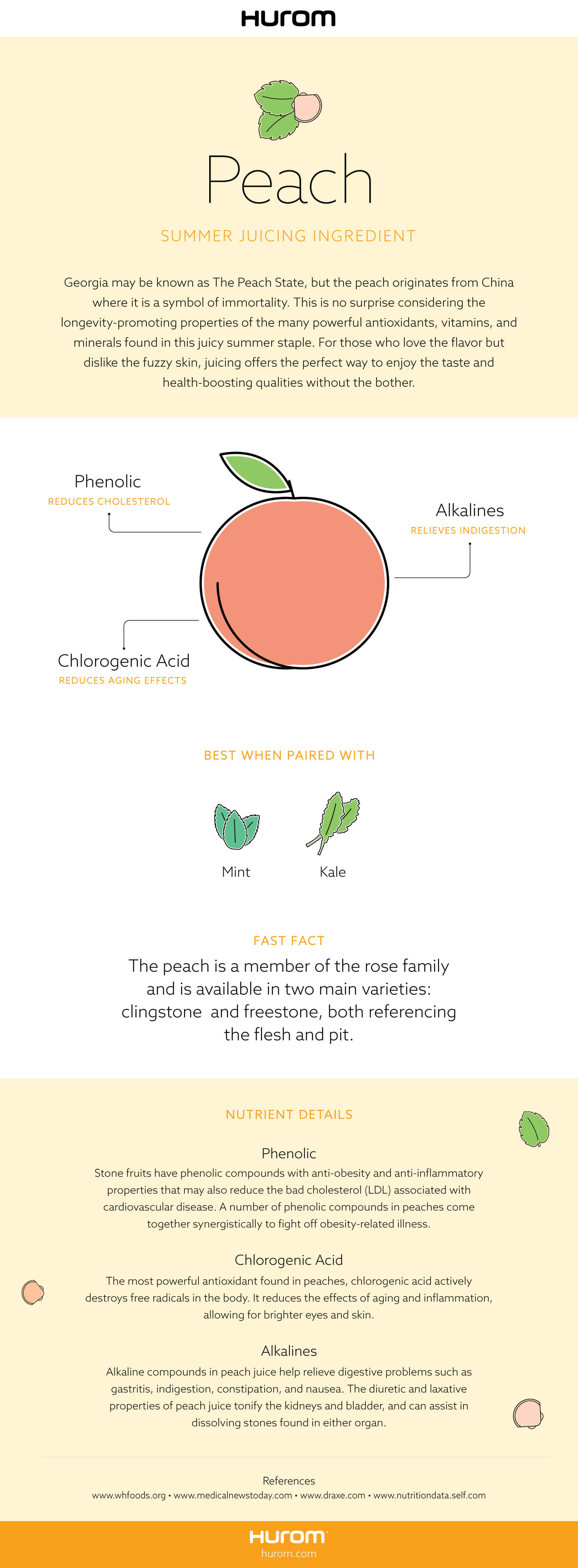 Peach Infographic
