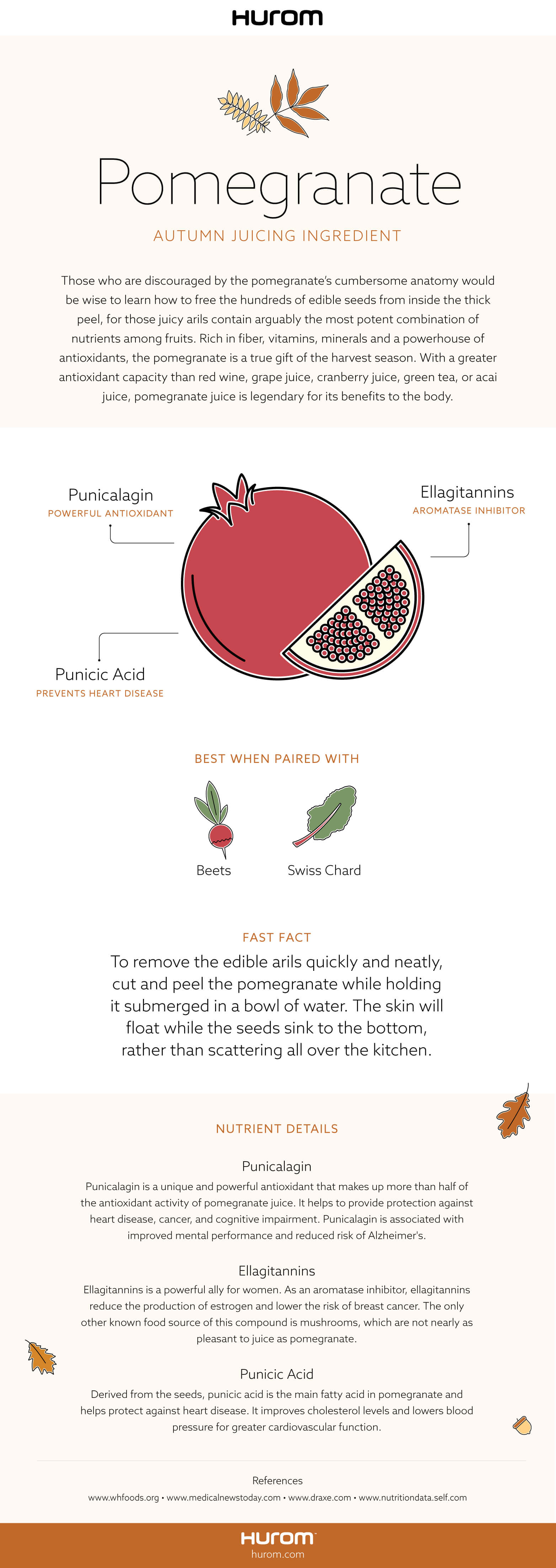Pomegranate Infographic