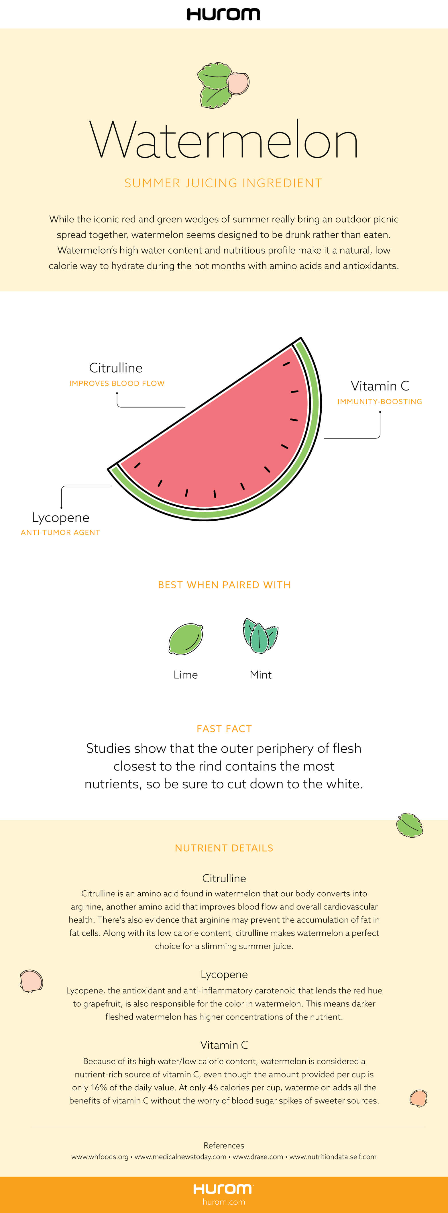 Watermelon Infographic