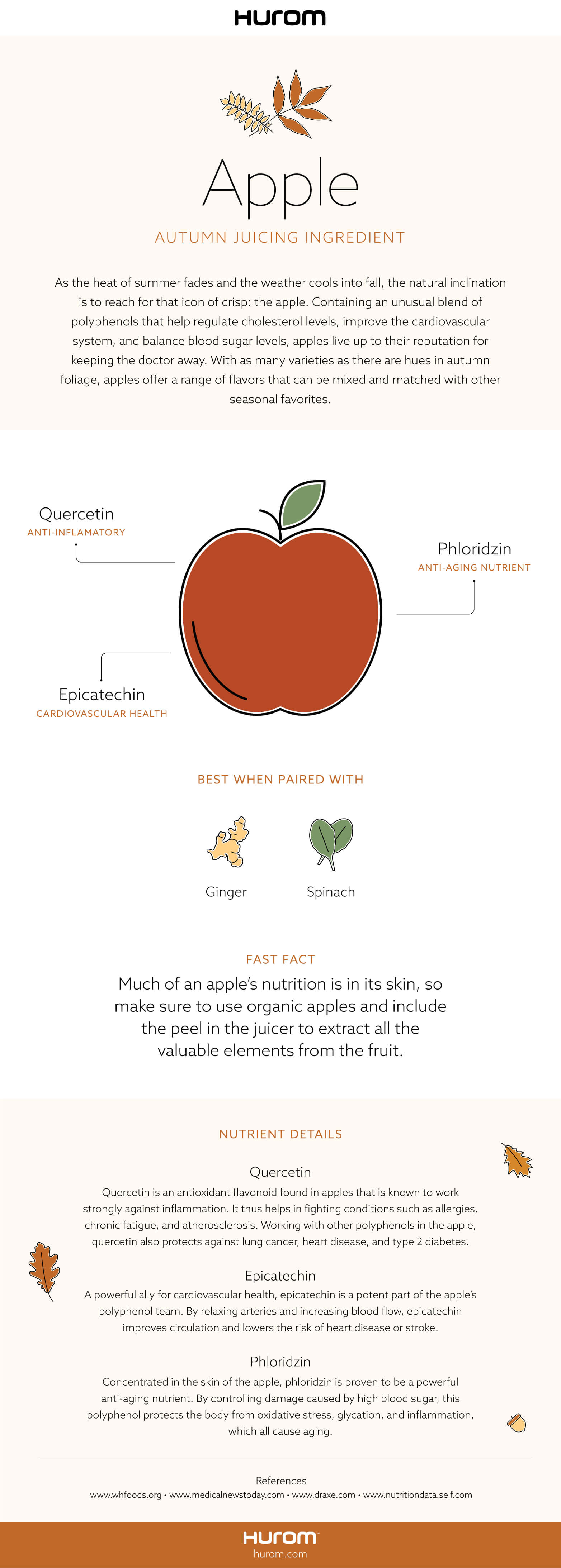 Apple Infographic