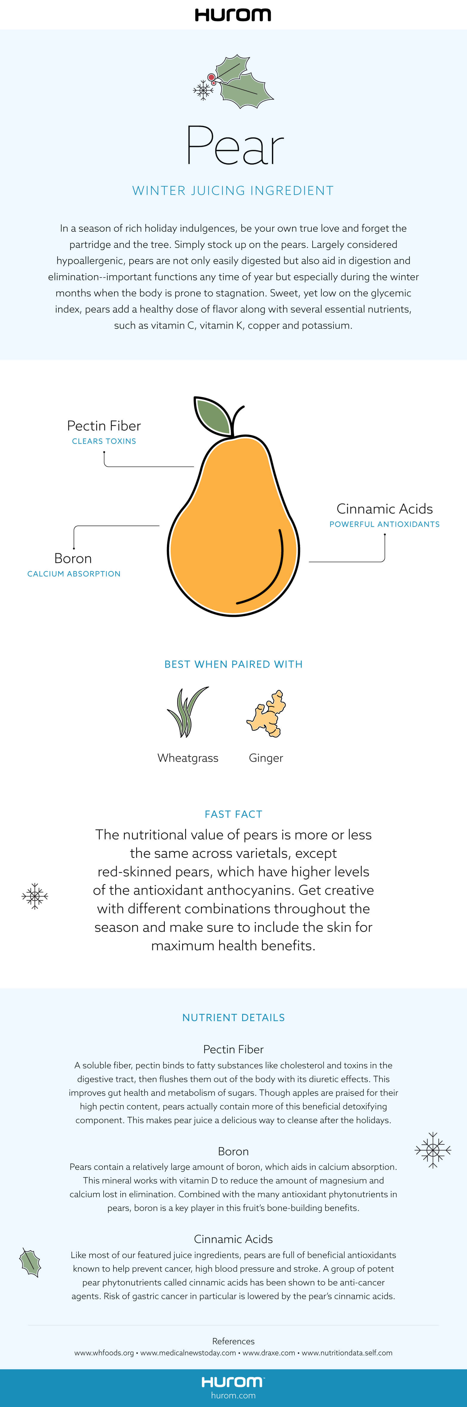 Pear Infographic