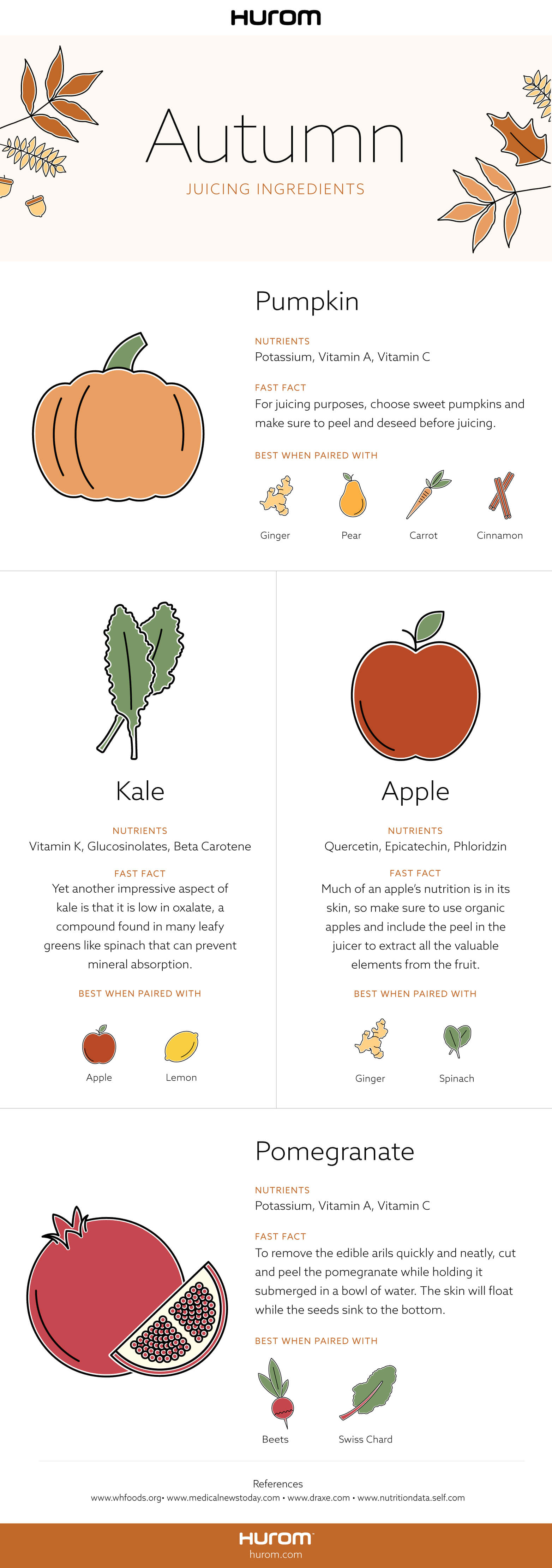 Autumn Infographic