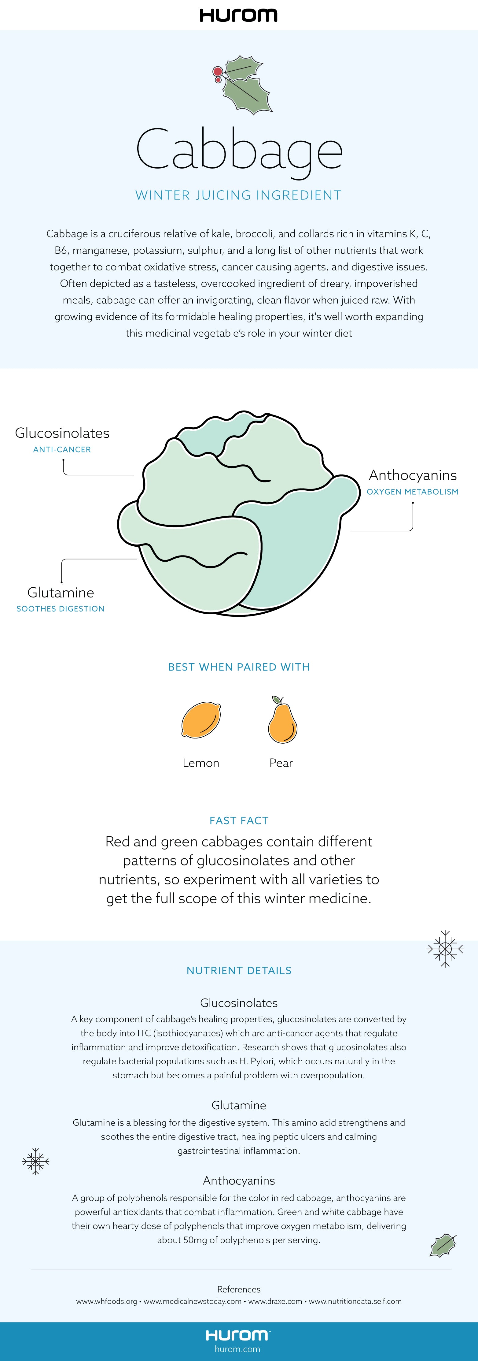 Cabbage Infographic
