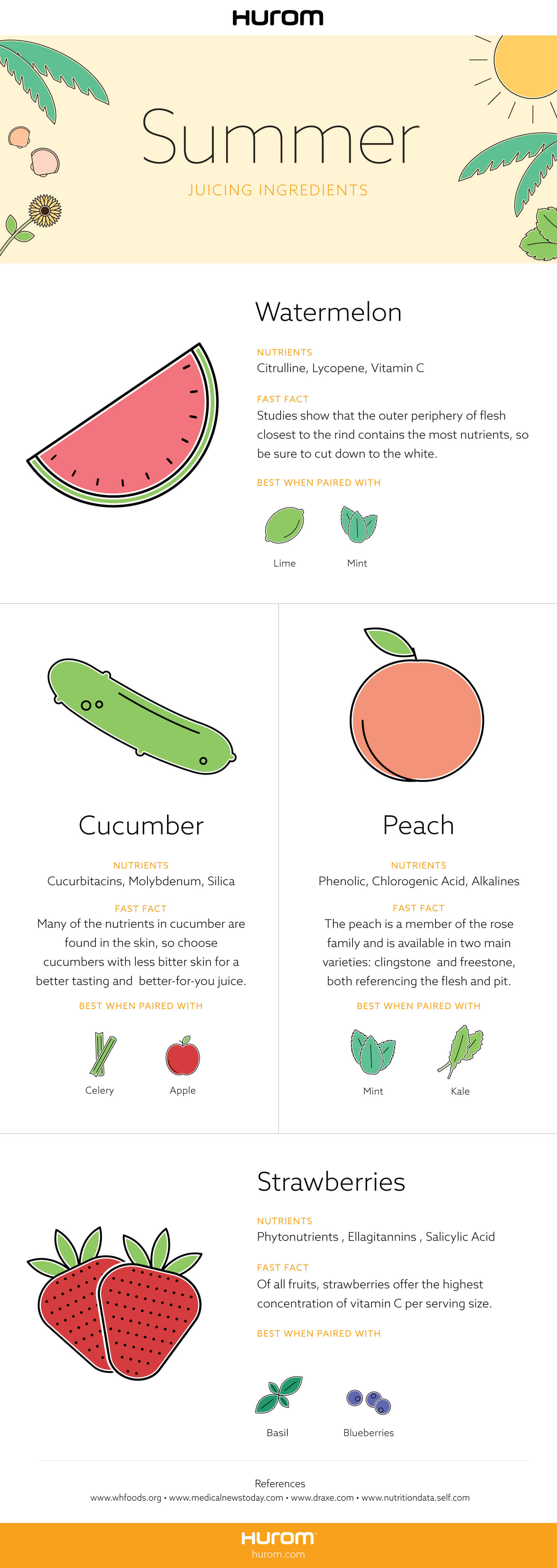 Summer Infographic
